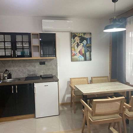Alexandar Studio Apartman Мокра-Гора Экстерьер фото