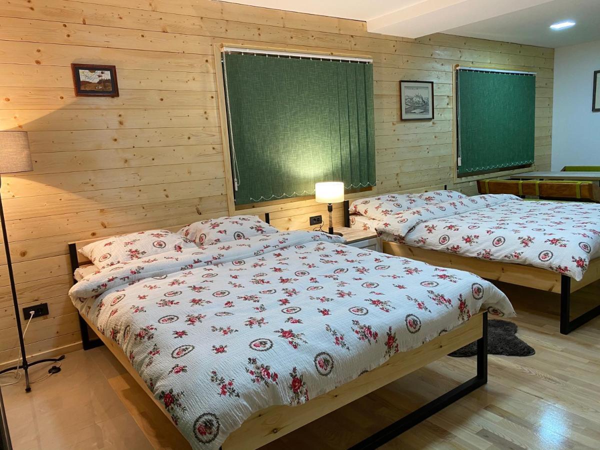 Alexandar Studio Apartman Мокра-Гора Экстерьер фото